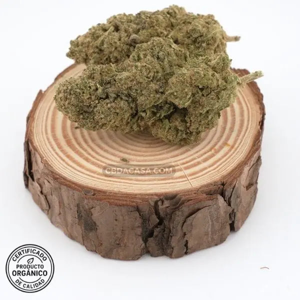 Oreo Cookies - CBD hidropónico