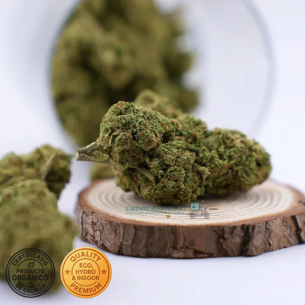 Runtz Muffin - flores CBD top