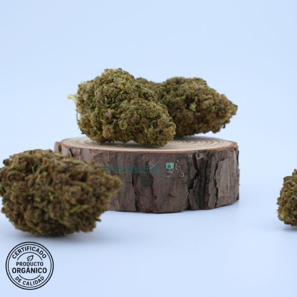 Flores CBD Lemon Tonik