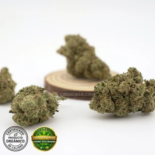 Flores CBG CBD hidroponico Platinum Cookies