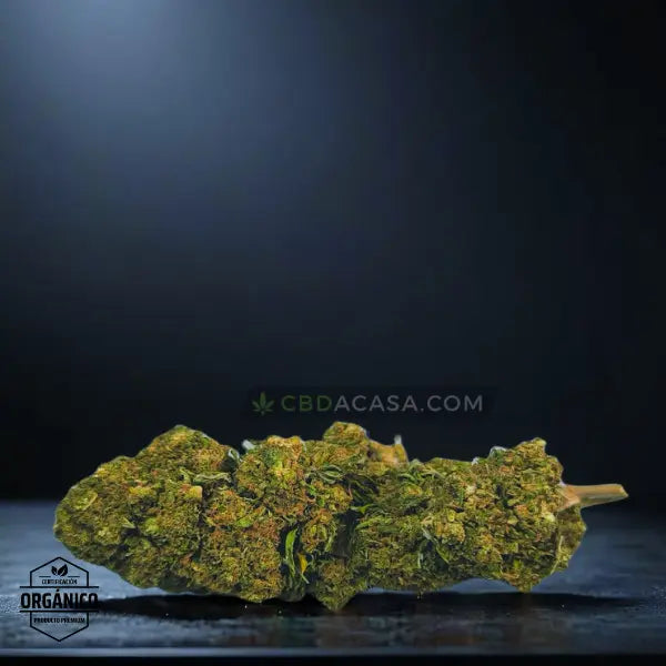 California Haze - Flores CBD frescas y bonitas