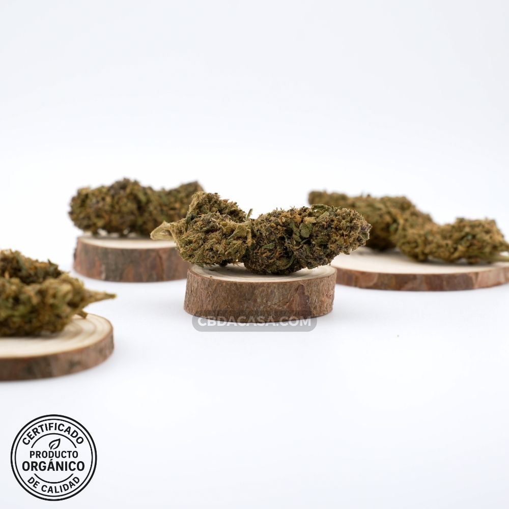 Flores de CBD Lime Purple
