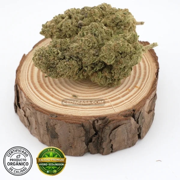 Oreo Cookies - CBD hidropónico