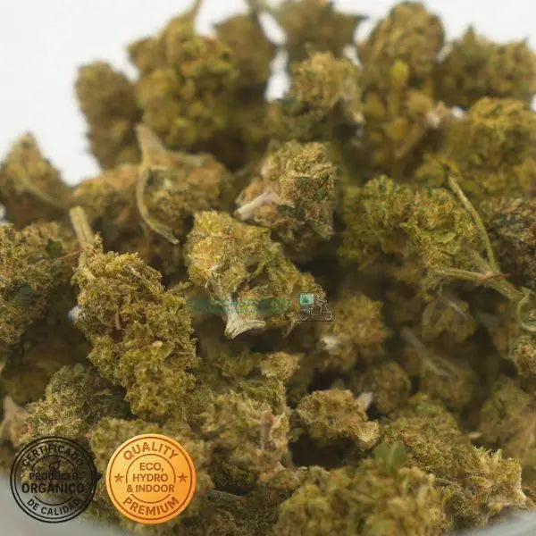 Orangello CBD Flower – Cultivo Indoor Hidropónico Orgánico | THC legal