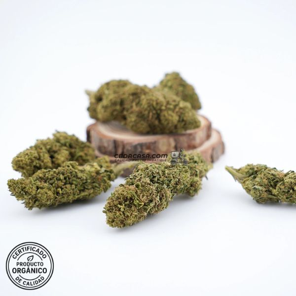 Flores CBD Gelato 41