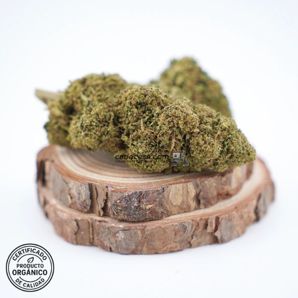 Flores CBD Gelato 41