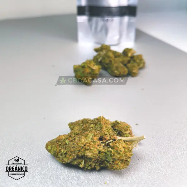 Flores CBD Mandarina Kush