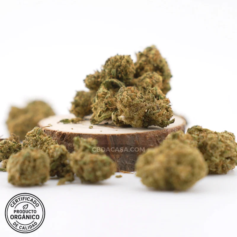 Flores CBD Mango Haze – Dulce mango & terpenos Haze | Buena relación precio