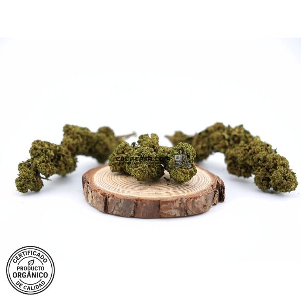Flores CBD Mango Haze