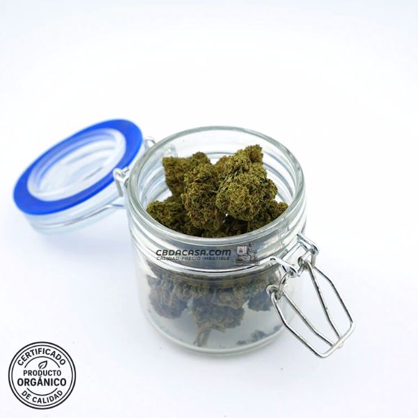 Flores CBD Mango Haze