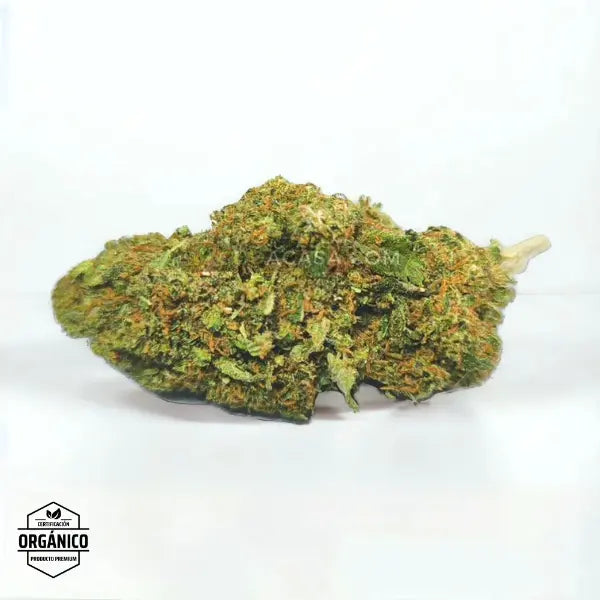 Flores CBD Mandarina Kush