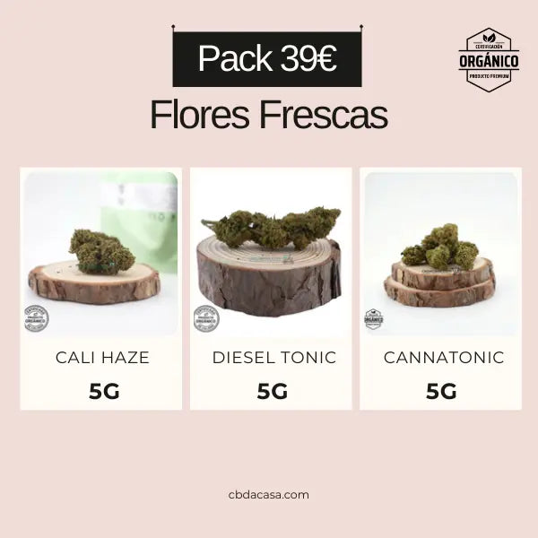 Pack CBD economico