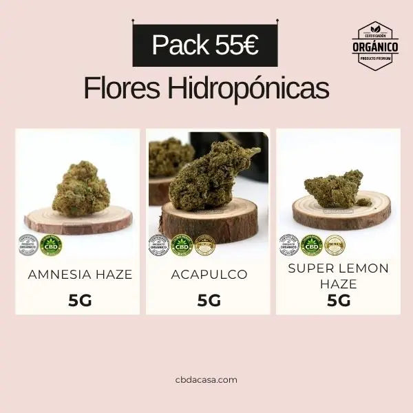 Flores CBD hidroponico a precio barato