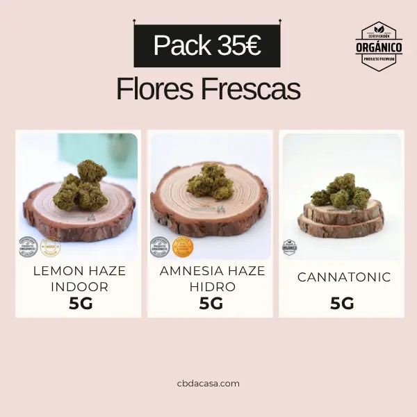 Pack CBD economico