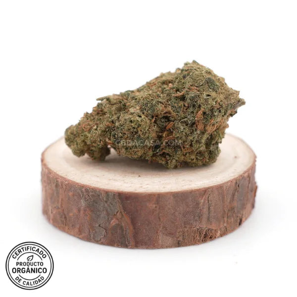 Flores CBD Pink Lady 100% ecológico