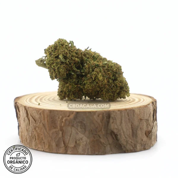 Flores de CBD Sherbet, nueva oferta