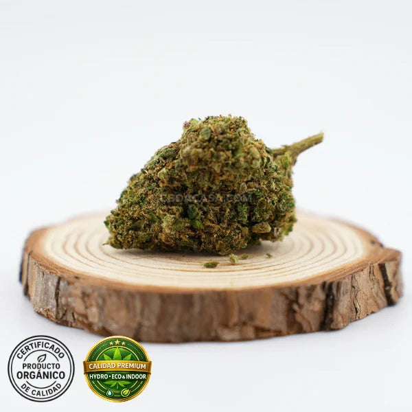 Flores CBD Sorbet de calidad