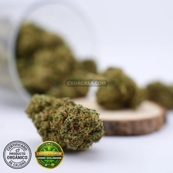 Flores CBD Sorbet de calidad