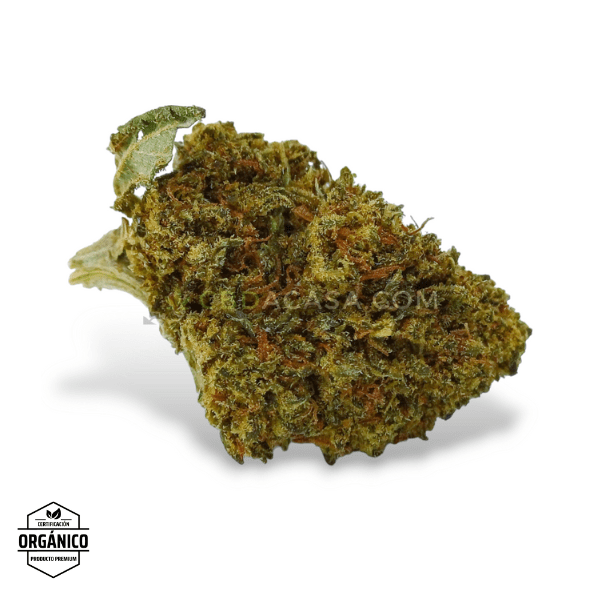 Sour Widow, flores CBD singulares con 13% de cannabidiol