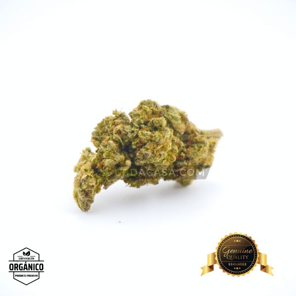 Flores de CBD Super Lemon Haze CBD indoor