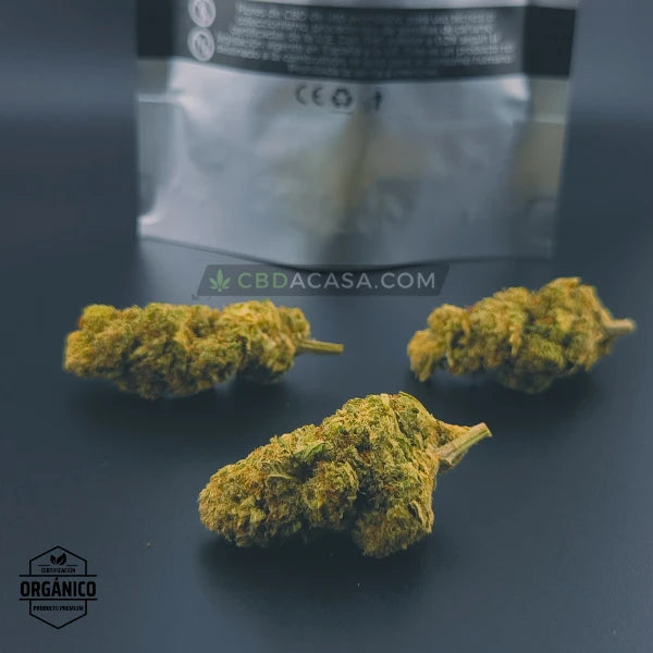 Flores de CBD Super Lemon Haze CBD indoor