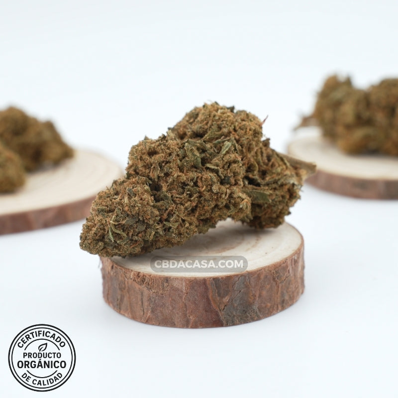 Comprar CBD Premium flores Banana Kush