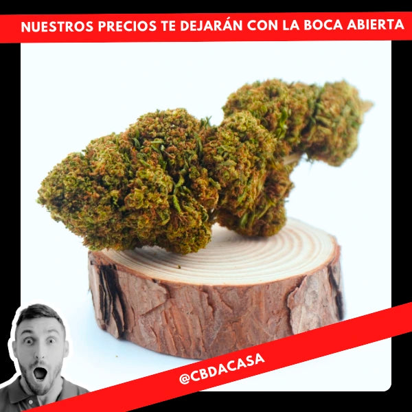 black friday cbd a casa flores california