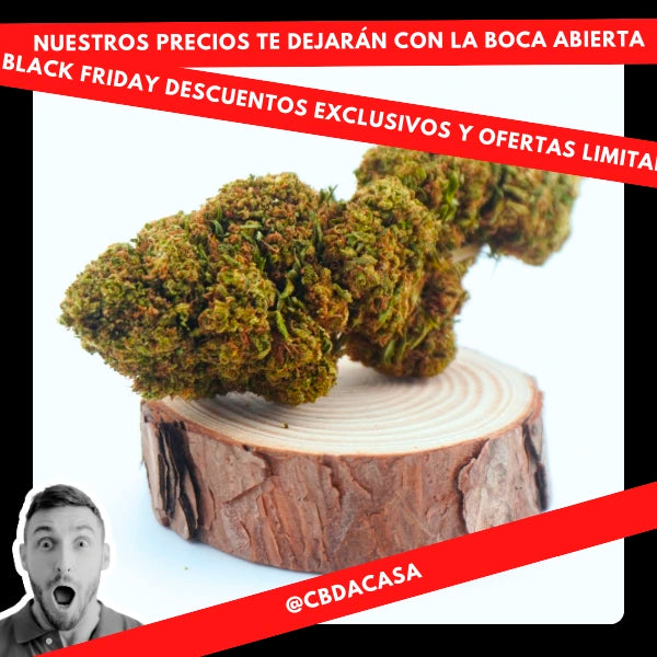 black friday cbd a casa flores california