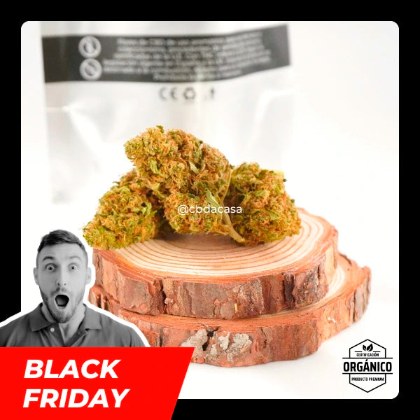 black friday flores cbd  a domicilio