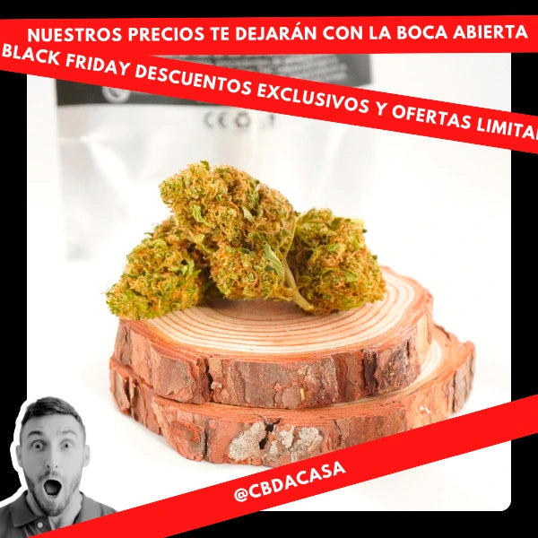 black friday CBD a casa flores madrid