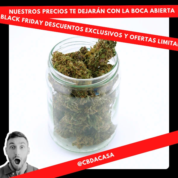 black friday cbd a casa flores en barcelona