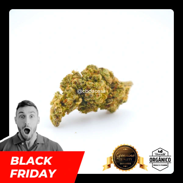 black friday flores cbd en madrid