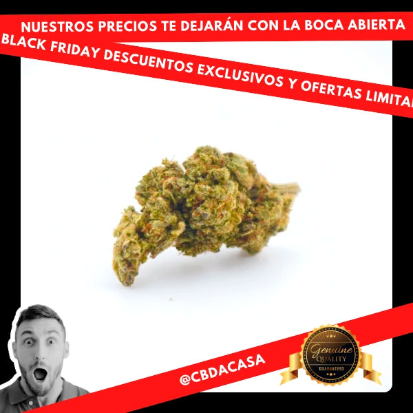 black friday cbd a casa flores