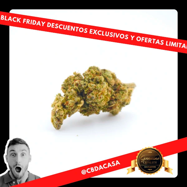 black friday cbd a casa flores en madrid