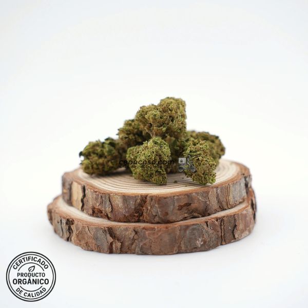 Flores CBD Cannatonic 100% ecológico a partir de 1 euro