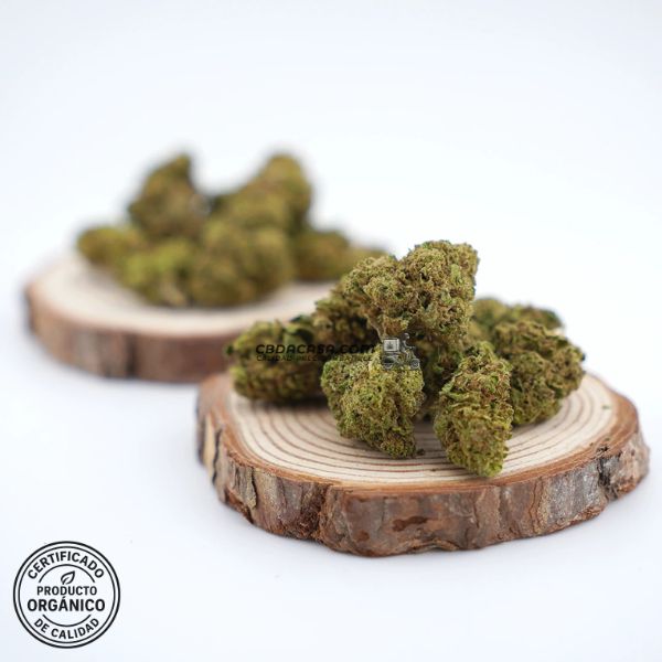 Flores CBD Cannatonic 100% ecológico a partir de 1 euro