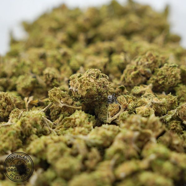 Flores CBD Cannatonic 100% ecológico a partir de 1 euro