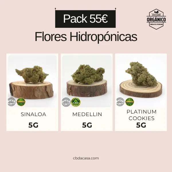 Flores CBD bonitas a precio barato