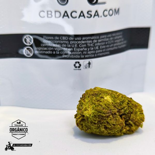 Flor CBD Premium Amnesia Frozen Dry indoor