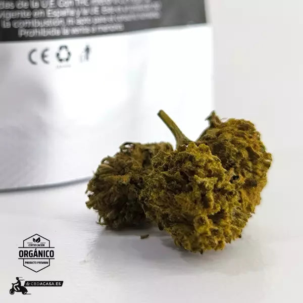 Sour Widow, flores CBD singulares con 13% de cannabidiol