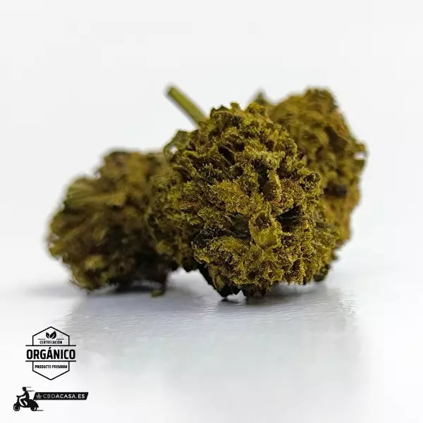 Sour Widow, flores CBD singulares con 13% de cannabidiol