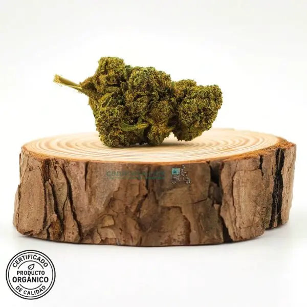 Flores de CBD Raspberry, frescas y bonitas