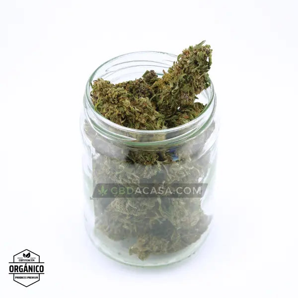 Flores de CBD Lime Purple