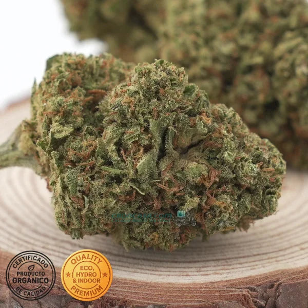 Flor CBD Kali Mist Cultivo Hydro - 15% CBD