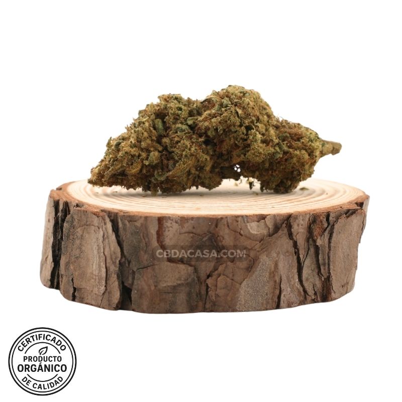 Flores CBD Lemon Tonik Orgánicas – Perfil aromático cítrico