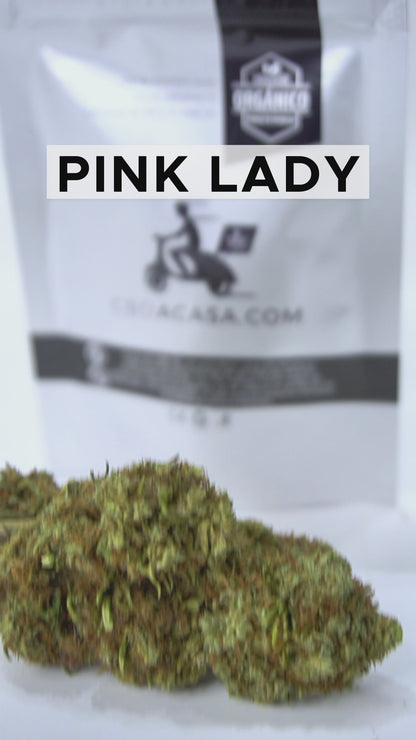 Pink Lady CBD flowers (100% organic) from 1 euro/gr