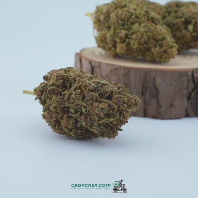 Video flores CBD Lemon Tonik
