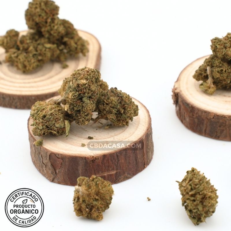 Strawberry CBD indoor flores bellísimas a buen precio