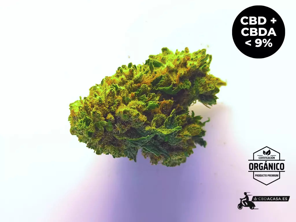 Flores de CBD Harlequeen 100% ecológico desde 1 euro/gr